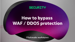 how to bypass waf and ddos protections-8